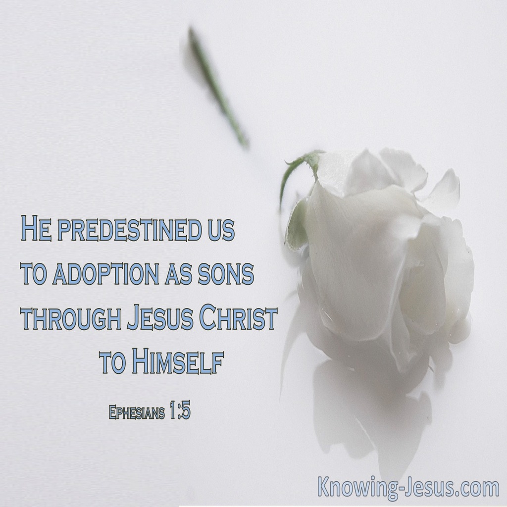 Ephesians 1:5 God Predestined Us To Adoption As Sons (white)